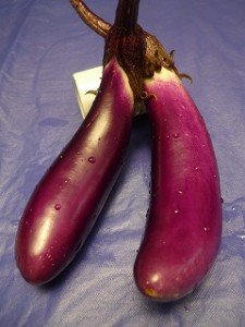 取れたてのなす